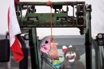 character:soylita flag flag:poland flag:ukraine meta:namefags pig sobot // 2048x1366 // 2.3MB