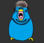 animal bird character:budgiejak retard twitter x-com // 640x630 // 56KB