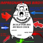 animal bird character:budgiejak rape // 640x640 // 143KB